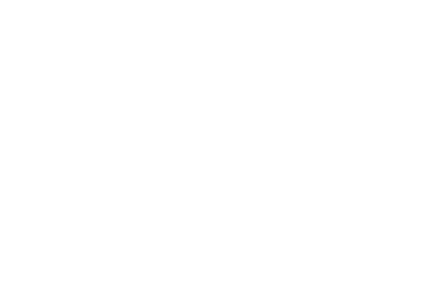Logo Letícia Barone